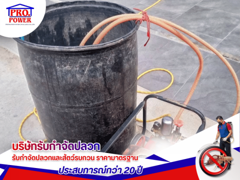 บริษัทกำจัดปลวก ควบคุมโดย นักกีฏวิทยา ชลบุรี